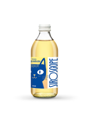 Thé Froid Thé Vert Mangue - Menthe -Citron Bio (12 bouteilles)